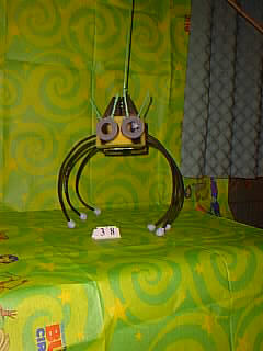 Bug Picture